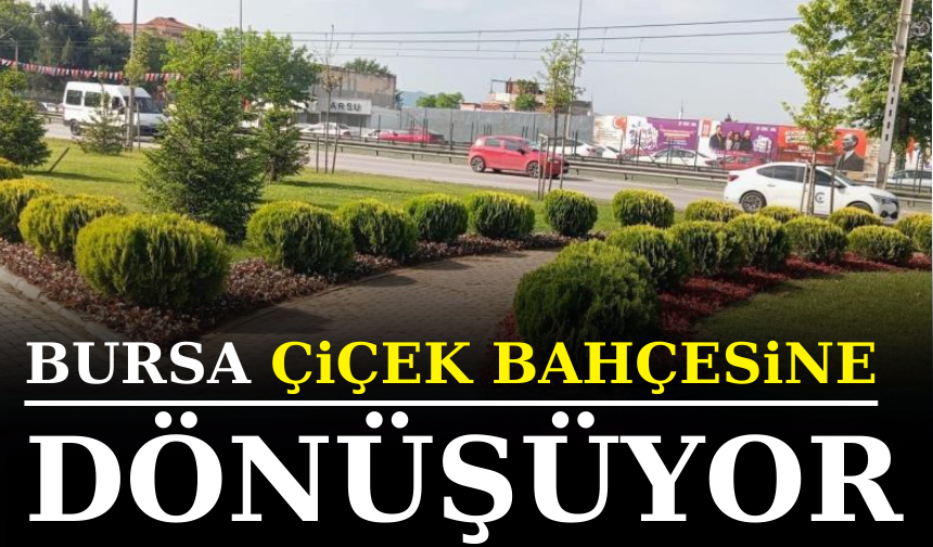 Bursa çiçek bahçesine dönüşüyor