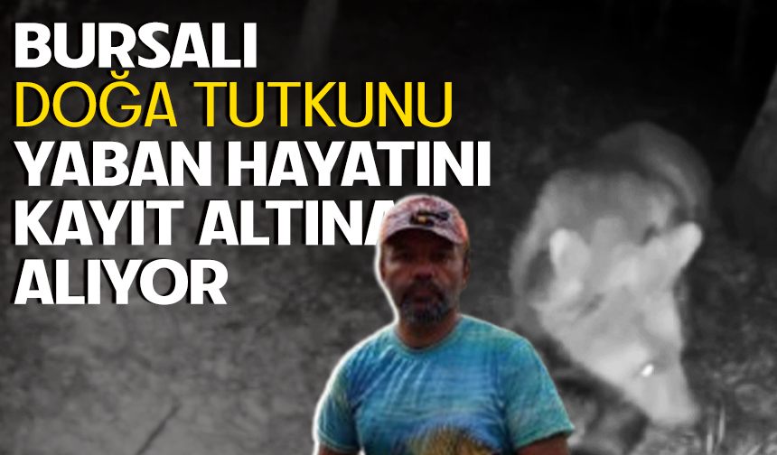 Bursa'da Fotokapanla Yaban Hayatının İzinde