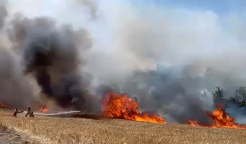 Çanakkale’de tarım arazisinde yangın çıktı