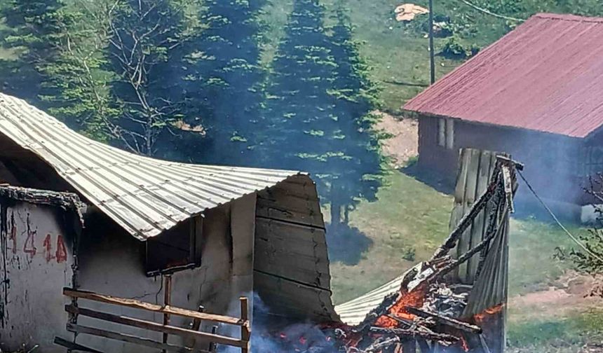 Yayla evi alev alev yandı