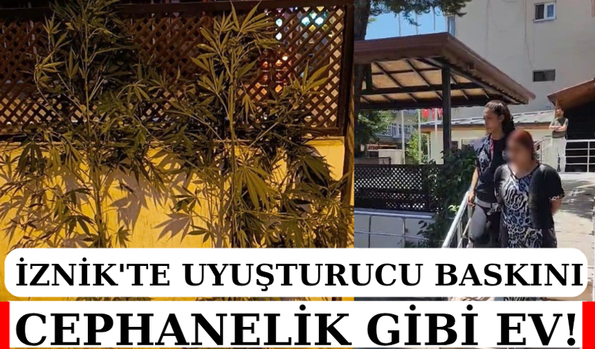 İznik'te zehir tacirlerine operasyon: 1 tutuklama