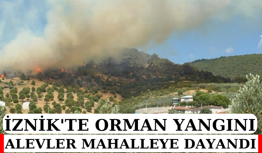 Bursa İznik'te büyük orman yangını