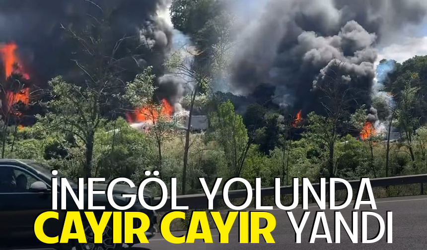 İnegöl yolunda cayır cayır yandı