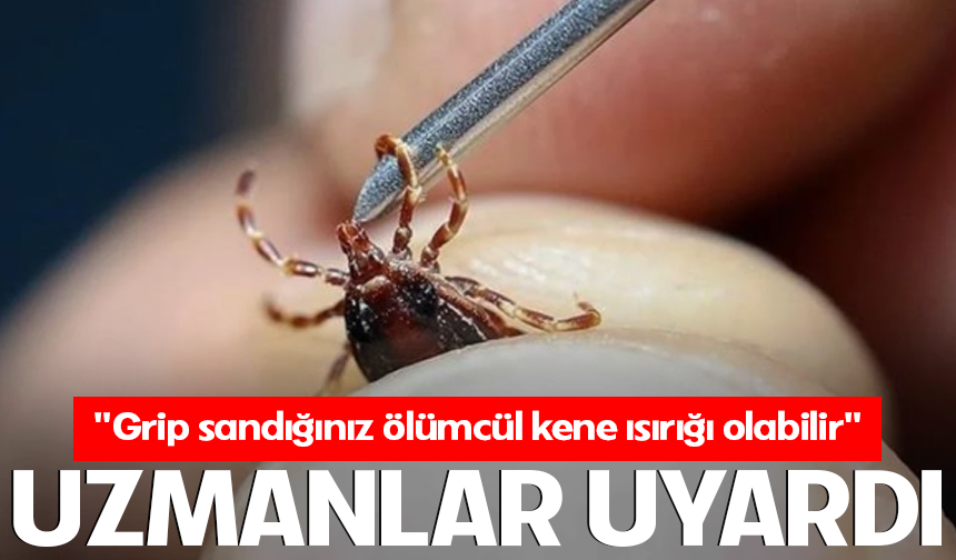 Uzmanlar uyardı: "Grip sandığınız ölümcül kene ısırığı olabilir"