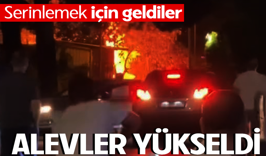 Serinlemek İçin Gittiler, Alevlerle Karşılaştılar