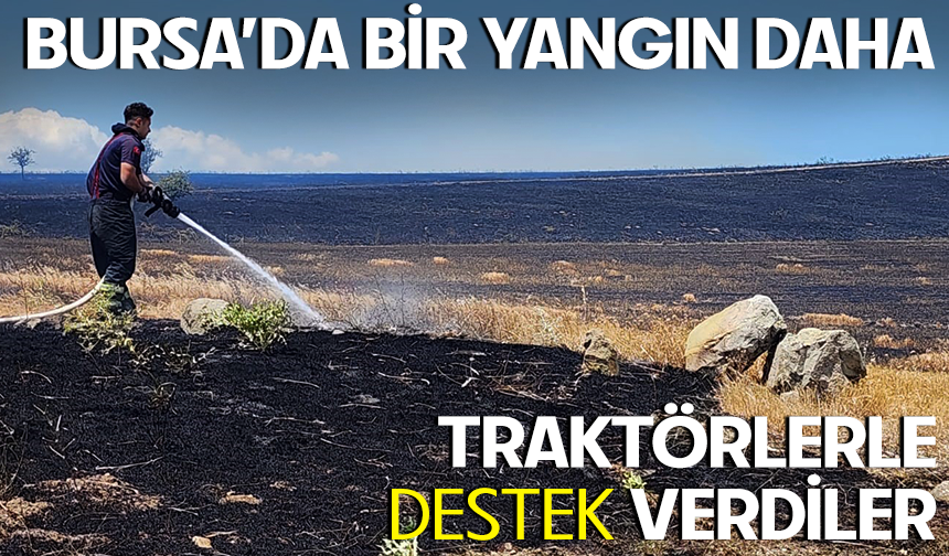 Bursa'da arazi alevlere teslim oldu