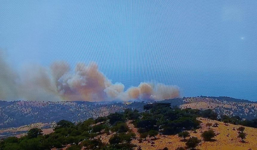 Ayvacık’ta başlayan orman yanınına müdahale ediliyor