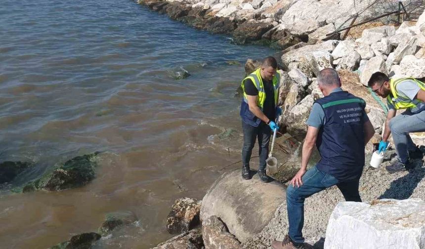 Kanalizasyonu denize deşarj eden Yalova Belediyesi’ne 1.3 milyon lira ceza