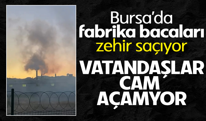 Sanayi şehri Bursa nefes alamıyor
