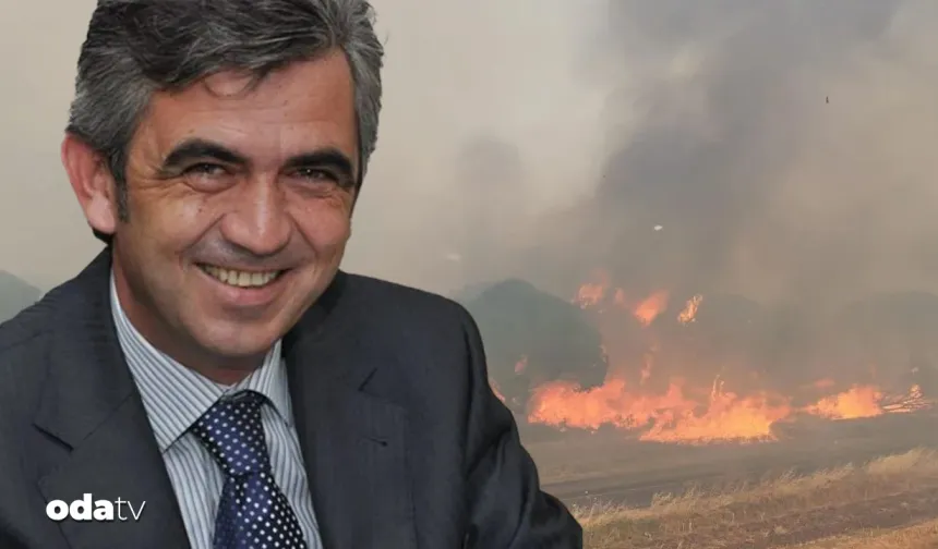 Herkes ormanları kim yaktı sorusuna yanıt arıyor