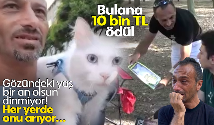 Her yerde onu arıyor: Bulana 10 bin TL verecek