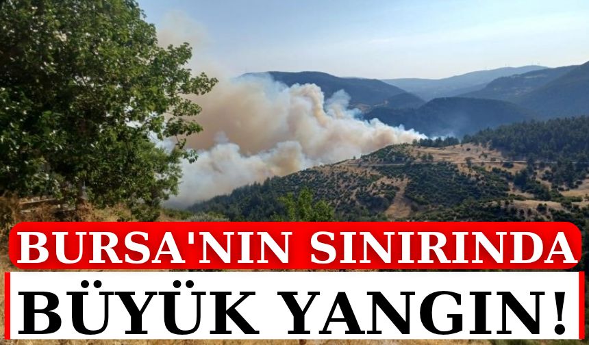 Bursa-Balıkesir sınırında orman yangını