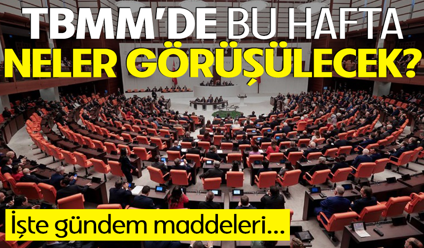 TBMM'de bu hafta neler görüşülecek? İşte gündem maddeleri...