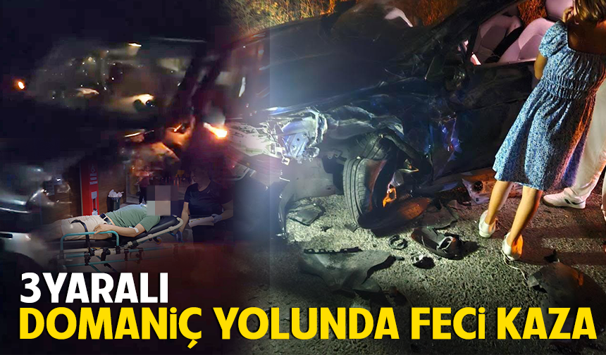Domaniç yolunda feci kaza; 3 yaralı