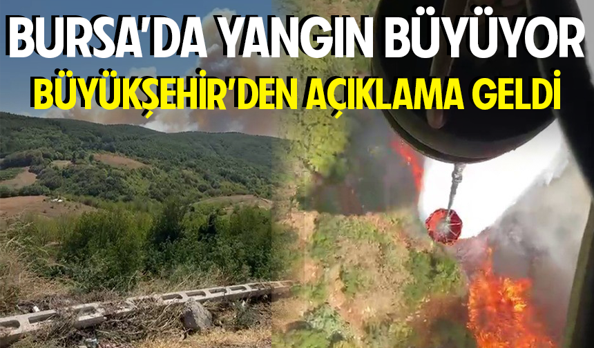 İznik Bayındır’da Orman Yangını: Söndürme Çalışmaları Sürüyor