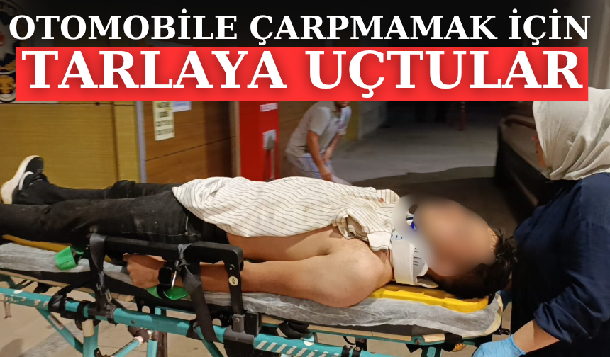 Otomobile çarpmamak için tarlaya uçtular