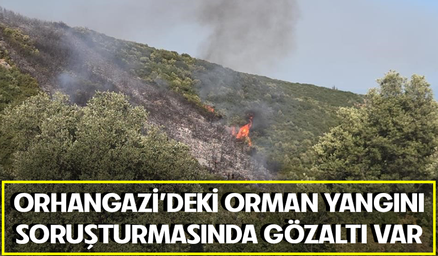 Orhangazi yangını ile ilgili 1 kişi gözaltına alındı
