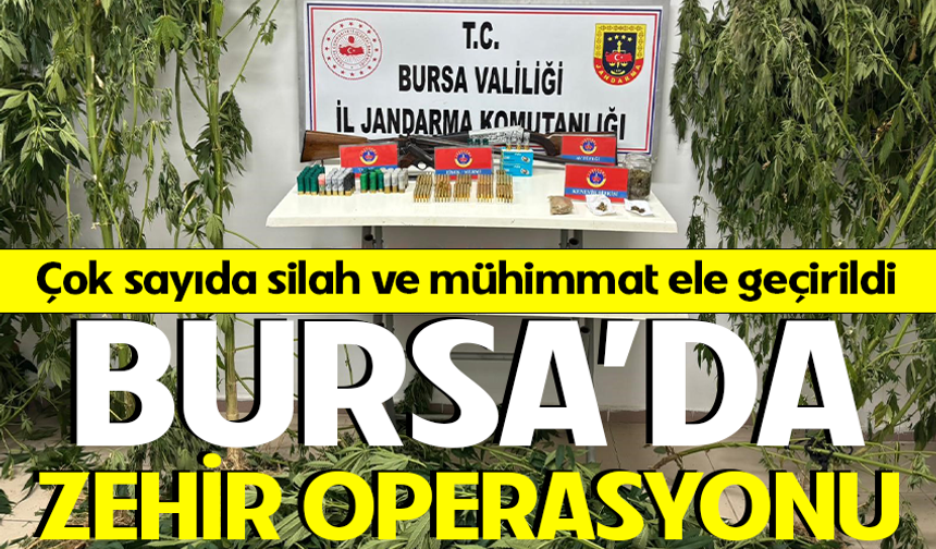 Bursa’da jandarmadan operasyon: Çok sayıda silah ve mühimmat da ele geçirildi
