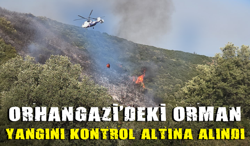 Bursa'daki orman yangını kontrol altına alındı