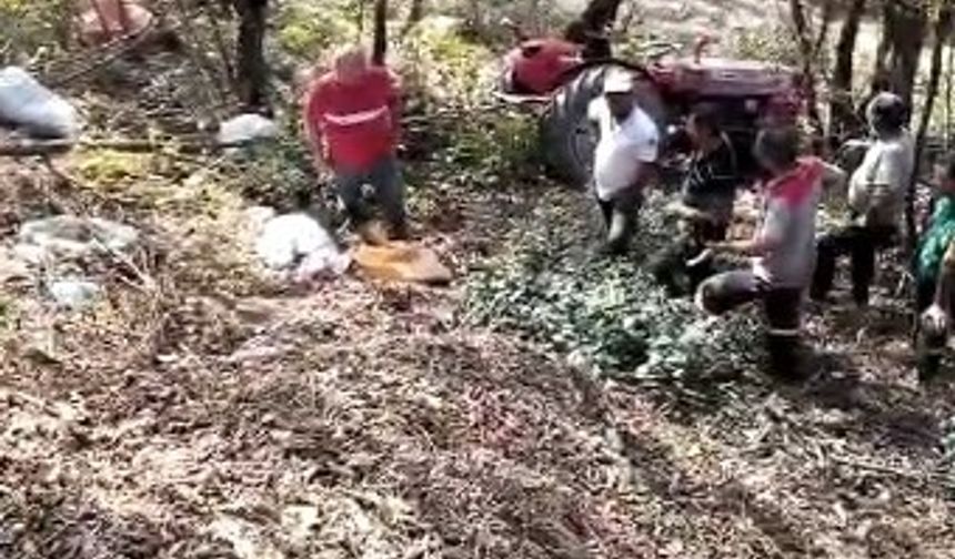Fındık bahçesinden dönen traktör devrildi, sürücü hayatını kaybetti