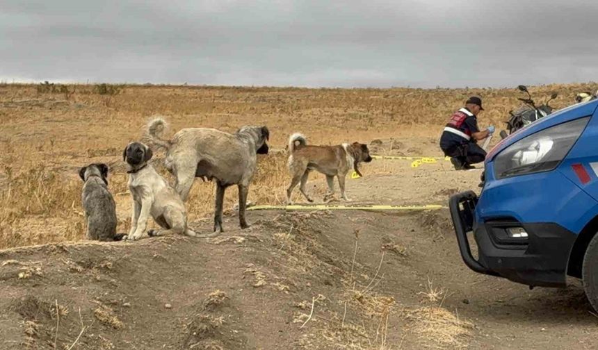 Köpek tartışmasında komşusunu öldüren zanlı tutuklandı