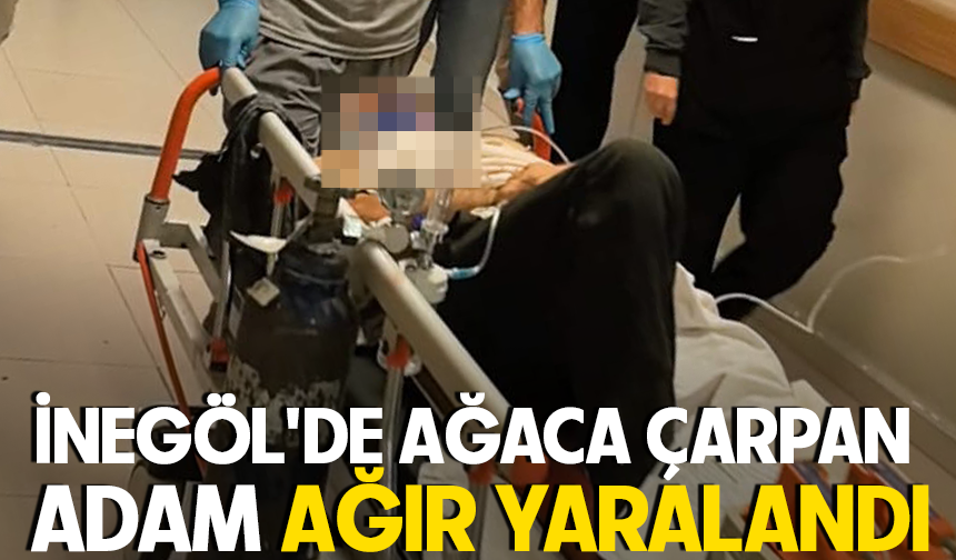 İnegöl'de ağaca çarpan adam ağır yaralandı