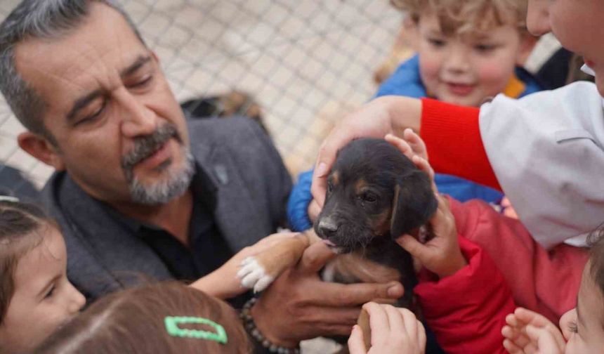 600 öğrenci barınaktaki can dostlarını ziyaret etti