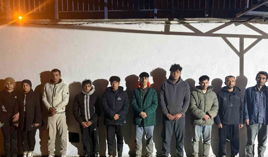 Edirne’de 17 düzensiz göçmen yakalandı