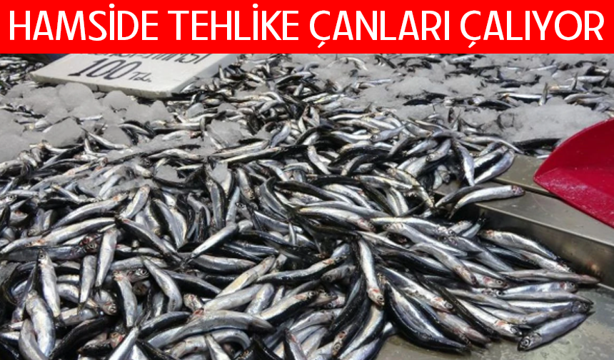 Hamside tehlike çanları çalıyor