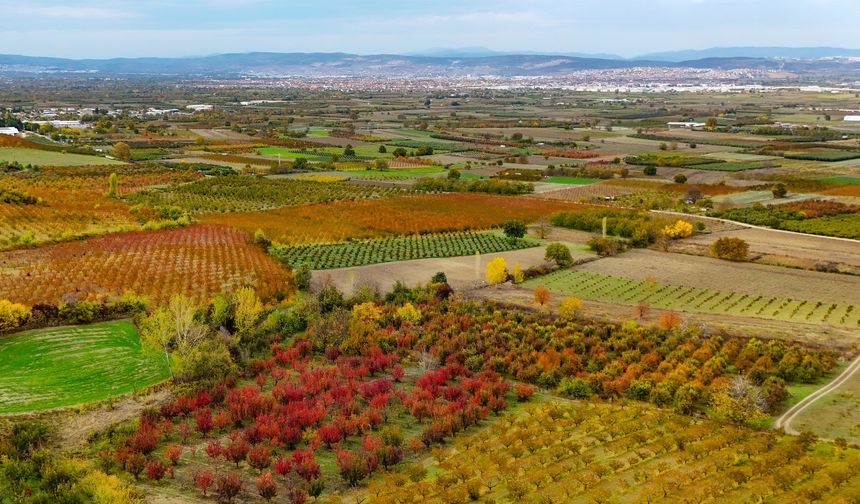 SONBAHARIN BÜYÜSÜ ULUDAĞ ETEKLERİNDE