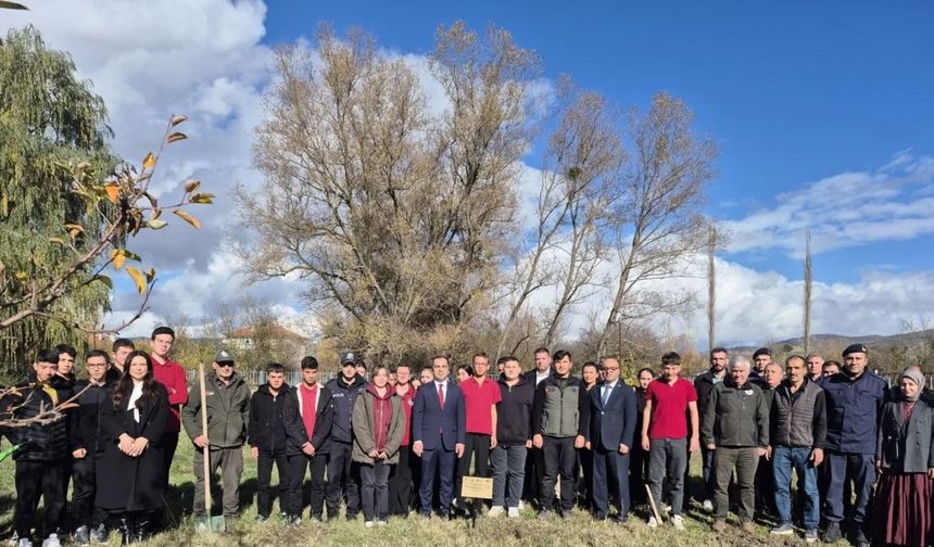 Bilecik’te Merve öğretmen anısına 72 fidan dikildi