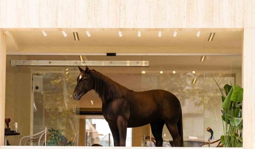 Espressolab, Jurassic Park teknolojisini şehirle buluşturdu