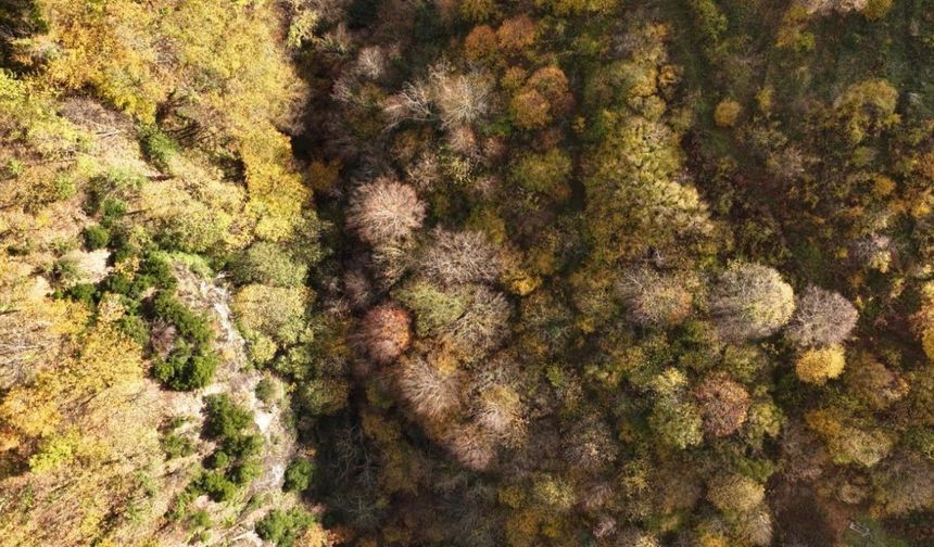 İstanbul’un yanı başında sonbahar rotası