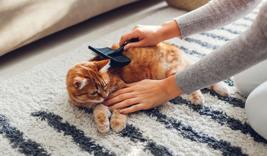 İnegöl Belediyesi’nden Evcil Hayvan Sahiplerine Mikroçip Hatırlatması