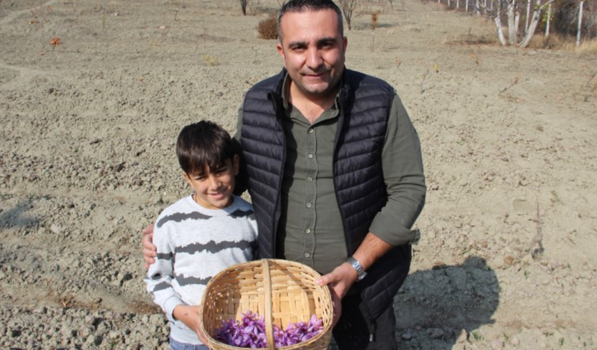 Denemek için ekti, dünyanın en pahalı baharatını yetiştirdi!