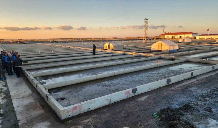 Çanakkale’deki deniz solucanları yetiştiriciliği tesisi sektörde tek