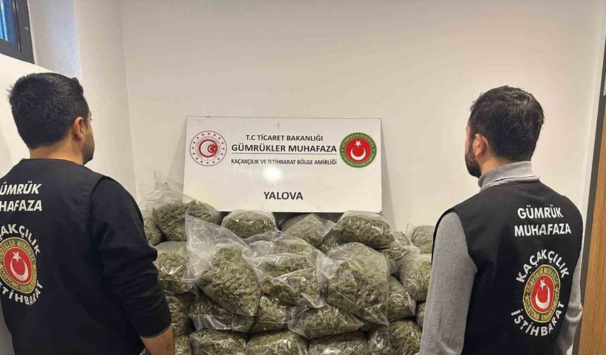 Fransa’dan Yalova’ya gemiyle gelen tırda 37 kilo uyuşturucu ele geçirildi