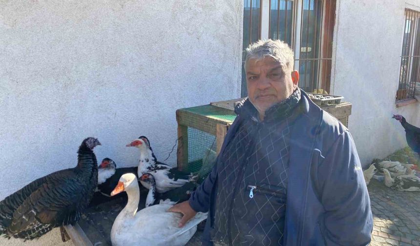 Hindi var, kaz var alıcı yok: Tezgâhlarda durgunluk