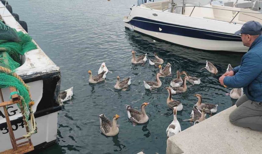 Şarköy’ün maskotu ’Vakvaklar’
