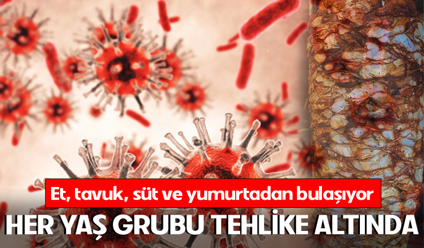 Et, Tavuk ve Yumurta Kaynaklı Tehlike: Her Yaş İçin Ölümcül Bakteri Uyarısı