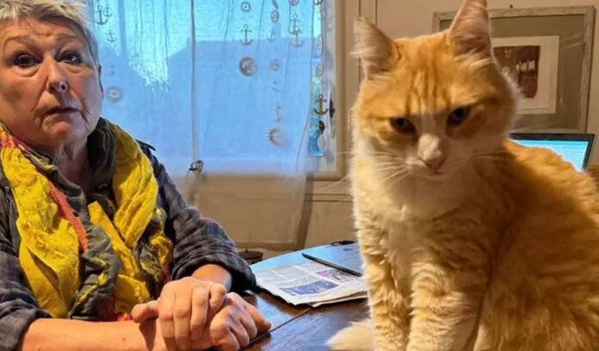 Dünyada bir ilk! Bu kediye hapis cezası verildi!