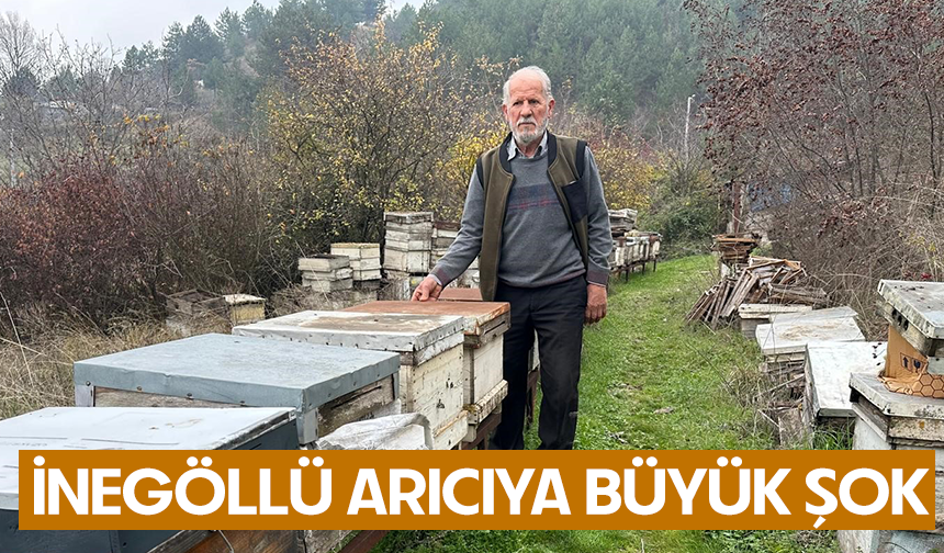 İnegöllü arıcıya büyük şok
