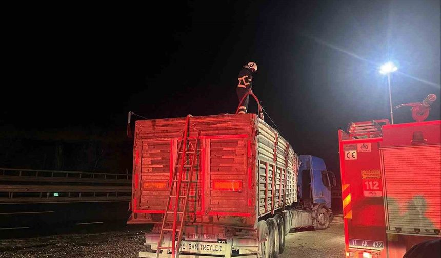 Bilecik'te seyir halinde talaş yüklü tır dorsesi alev aldı