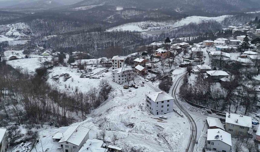 Demirköy'de kartpostallık kış manzarası