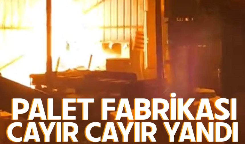 Bursa'da bir palet fabrikasında daha yangın