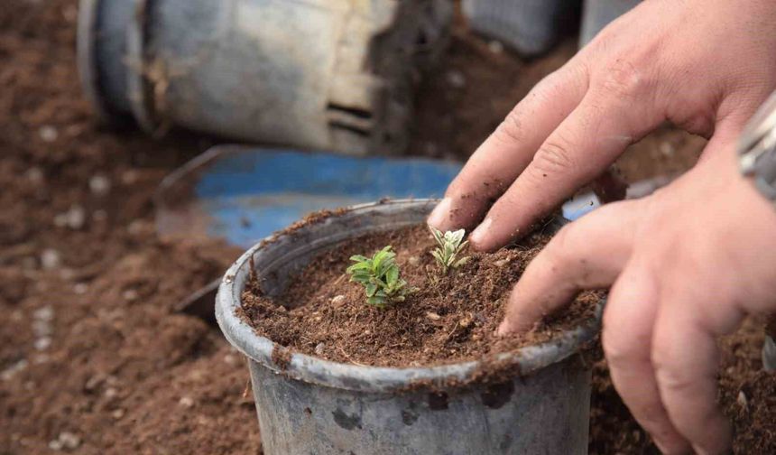 Bilecik'te park ve bahçelerden bahara hazırlık