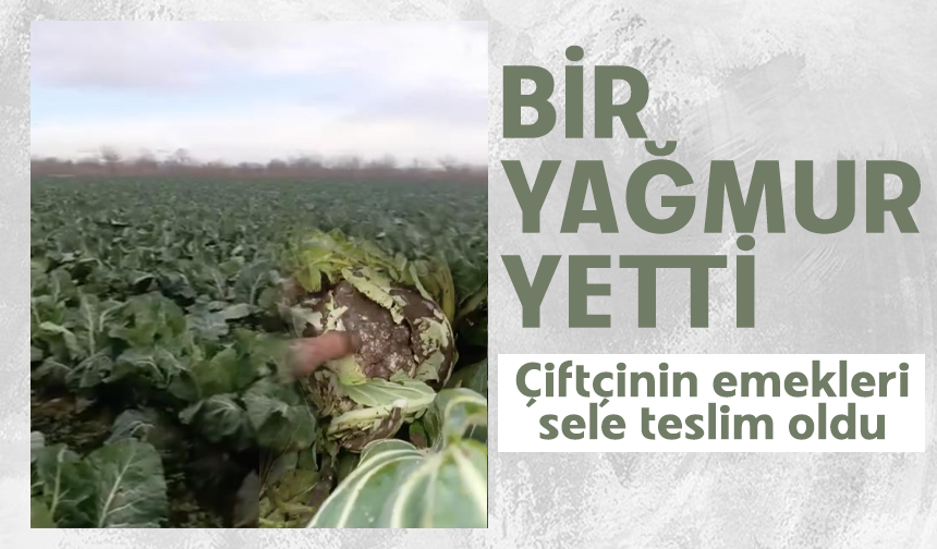 Şubat Yağmurları Bursa’da Tarım Arazilerine Zarar Verdi