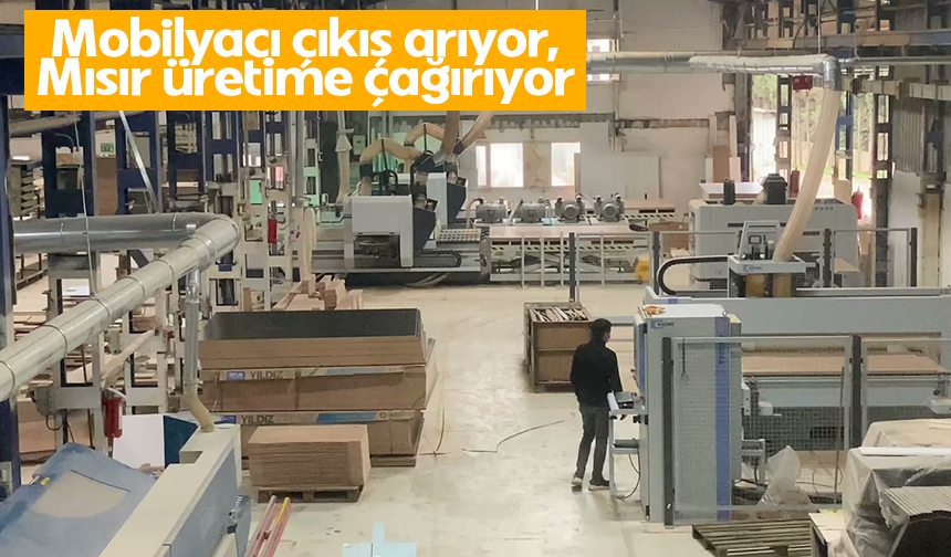 Mobilyacı çıkış arıyor, Mısır üretime çağırıyor