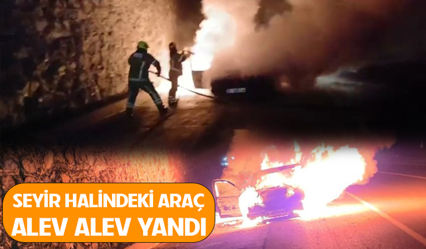 Bursa Mudanya yolunda korkutan araç yangını!