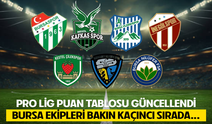 Pro lig puan tablosunda Bursaspor ve Kafkasspor ilk 20’de yer aldı